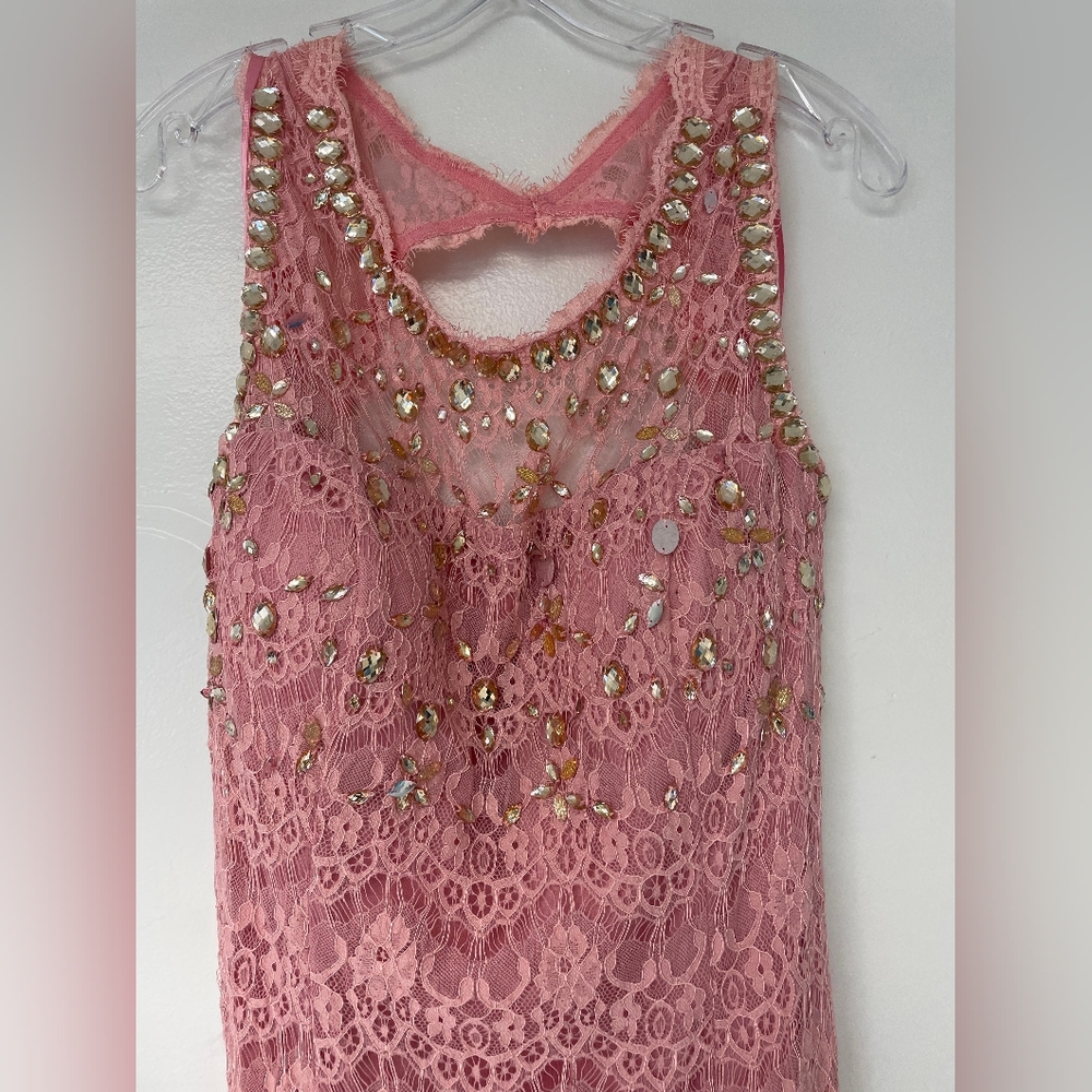 NWT Fanny Brand Lace Sheath Gown, 2XL, pink